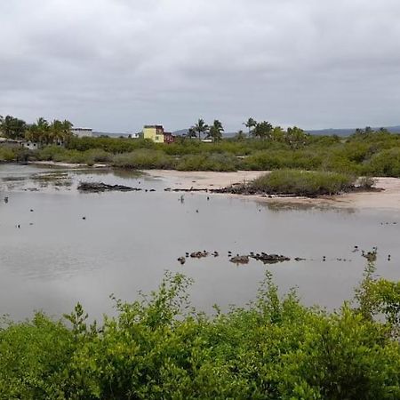 Flamingos House Puerto Villamil Exterior foto